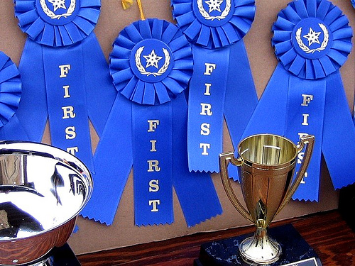 be first place at everything